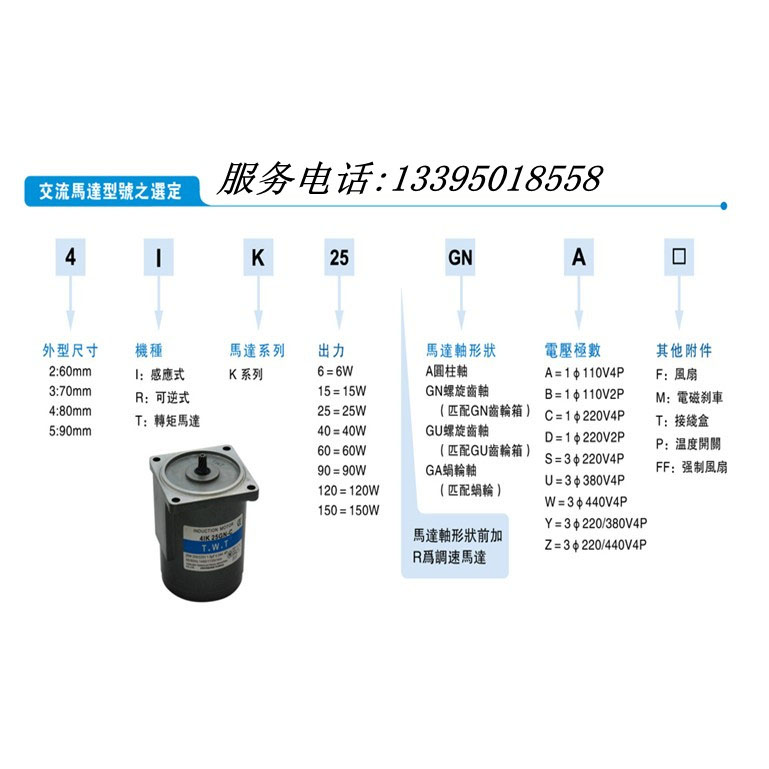 TWT东炜庭交流电机型号